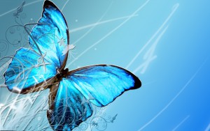 blue_butterfly_by_crazthonfry.jpg